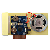 Музыкальный модуль с однократной записью BIR40DMC :: универсальные музыкальные модули