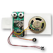 Музыкальные MP3 модули и модули с микрофоном :: ПОПУЛЯРНЫЕ :: голосовые модули и голосовые открытки