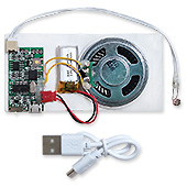 Музыкальный перезаписываемый MP3 модуль VC-MP3-8-CDS :: mp3 музыкальные модули бескорпусные