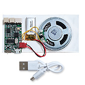 Музыкальные MP3 модули и модули с микрофоном :: ПОПУЛЯРНЫЕ :: голосовые модули и голосовые открытки