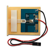 Лепесток :: опции для универсальных музыкальные модулей